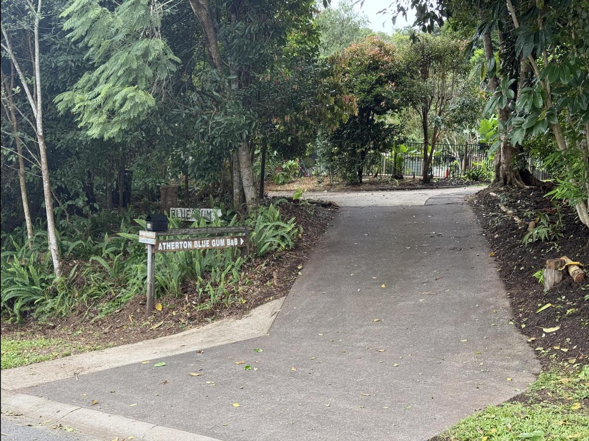 Atherton Blue Gum Bagian luar foto
